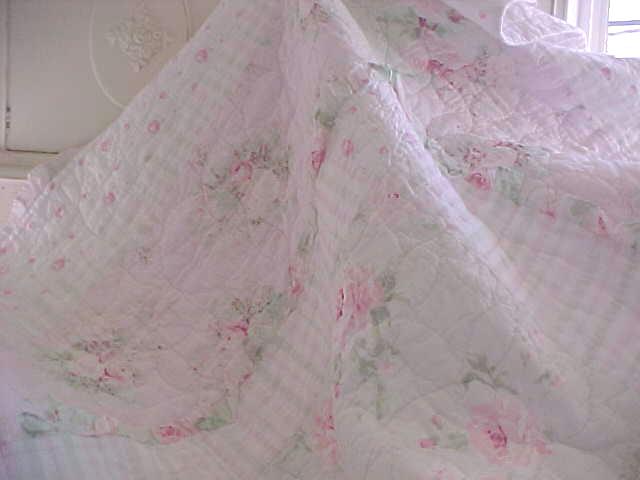 Pink Roses