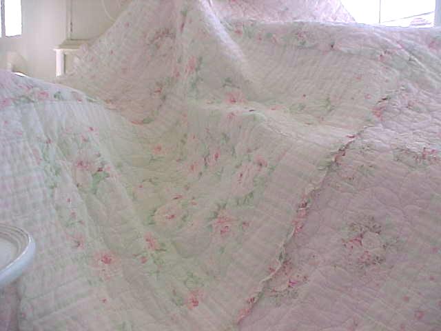 Roses and Ruffles